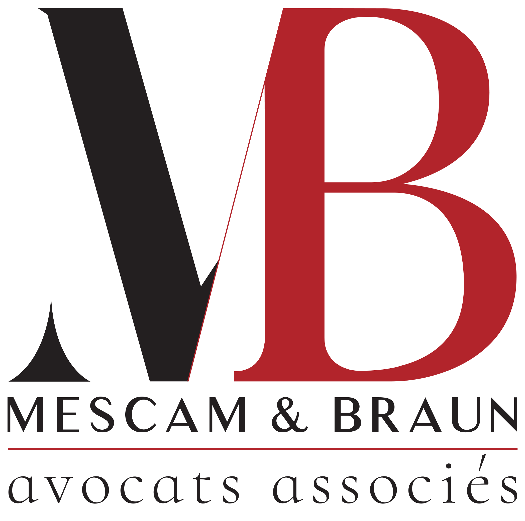 Logo BRAUN MARYANNIC